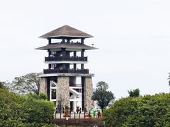 -大湾区中央湿地公园