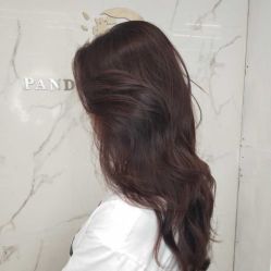 -潘多拉Hairsalon