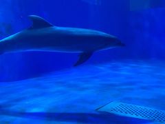 -多彩贵州城极地海洋世界