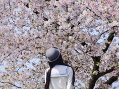 -蠡湖大桥公园
