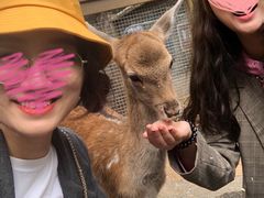 -费瑟代尔野生动物园