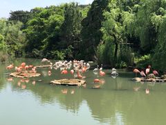 -宁波野生动物园