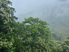 -婺源风景区
