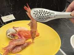 -上海虹桥迎宾馆