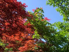 -南山风景名胜区