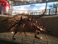 -国家自然博物馆