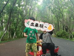 -艾溪湖湿地公园