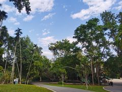 -中国科学院西双版纳热带植物园