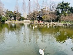 -莫愁湖公园