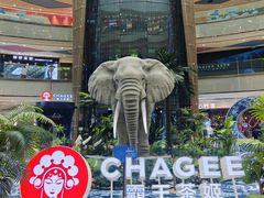 -万达广场(长沙开福店)