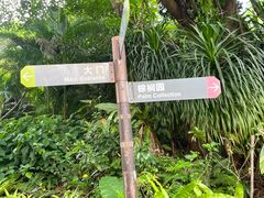 -深圳仙湖植物园