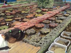 -钓虾工场·钓虾·赶海(回龙观店)