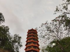 -红花山公园