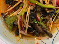 -贺秦生陕面王(富力城店)