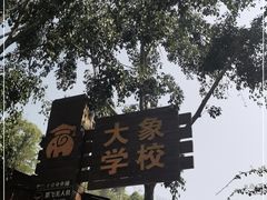 -野象谷景区