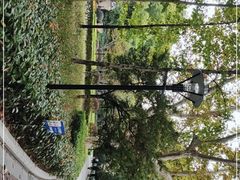 -徐家汇源景区-衡山公园