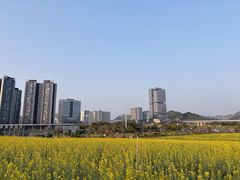 -光明小镇欢乐田园