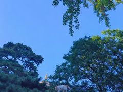 -潭柘寺景区