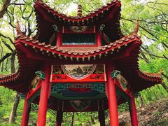 -皇藏峪国家森林公园