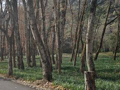 -五泄景区