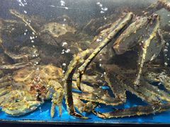 -蟹之国·精品蟹料理(极地店)