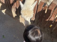 -太原动物园