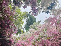 -深圳国际园林花卉博览园