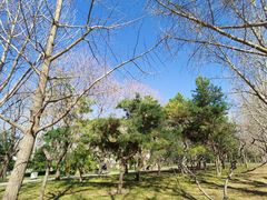 -玲珑塔公园