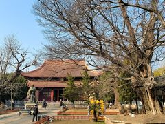 -苏州文庙(姑苏区)
