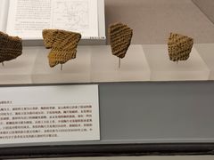 -北京大学赛克勒考古与艺术博物馆
