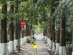-花溪公园