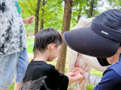 -加顺农场餐厅