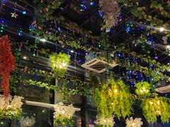 -聚缘·湘味音乐餐厅party(罗湖店)