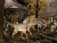 -湖南省地质博物馆