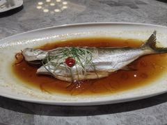 -老绍兴养和饭店(向阳不夜城店)