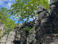 -梭布垭石林景区
