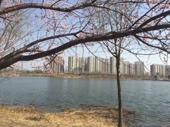 -永定河休闲森林公园