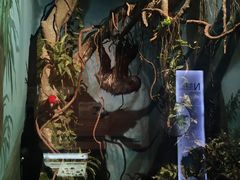-天津自然博物馆