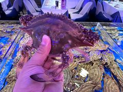 -十二海鲜(南湖店)