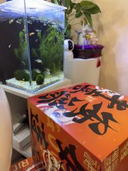 -S&G Beauty轻奢皮肤管理中心