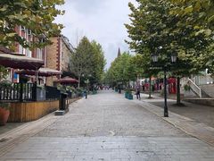 -四川省成都市彭州市白鹿镇