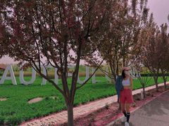 -北京热带雨林风情园酒店-停车场