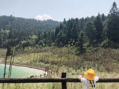 -武陵山森林公园