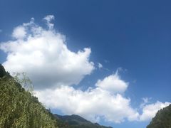 -牛背梁国家森林公园