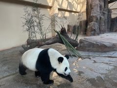 -宁波野生动物园