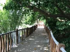 -观澜山水田园