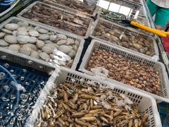 -渔民船说·北塘海鲜·天津菜·海肠捞饭(北塘古镇店)