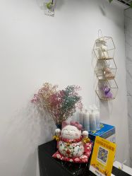 -凡碧诗毛孔收细