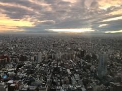 -东京都厅舍
