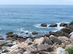 -广东惠东海龟国家级自然保护区